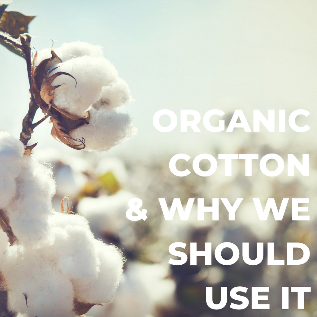 Organic Cotton & Why We Should Use It
